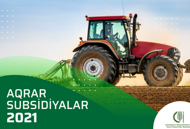 image-1619872896_333897ab-3b4d-30a8-b838-94b6138995d0_850