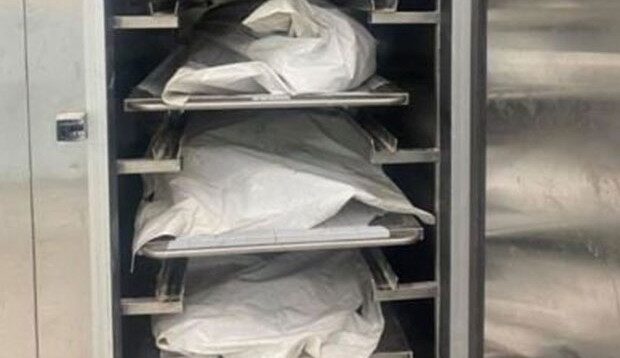 image-1622786703_morq