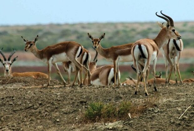 image-1623044102_c3gylfawiaap8ww