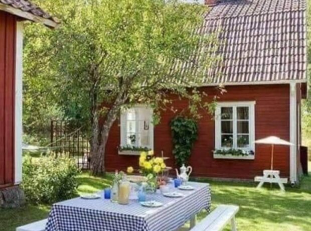 image-195881751_479689466443649_861680321112395019_n