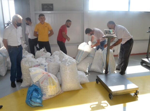 image-197166869_126841346207947_8555674402922889542_n