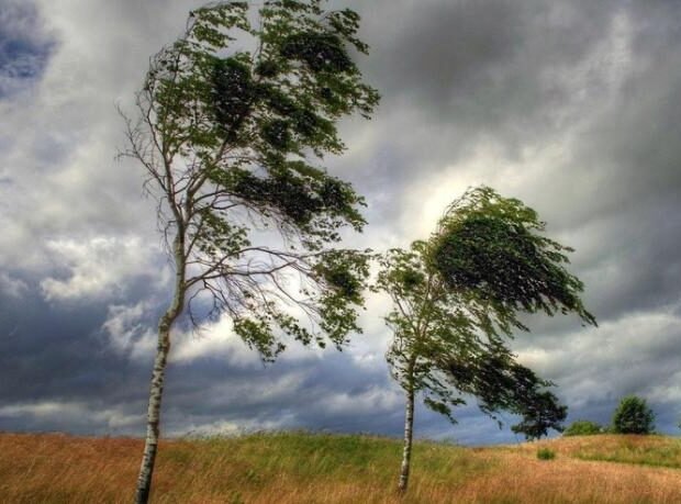 image-kulekli-hava-1