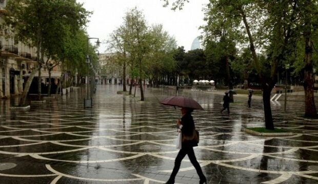 image-1606022029_yagis8