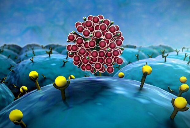 image-1625291186_adb9c50a-aff9-380c-964f-03f859f2a39c_850