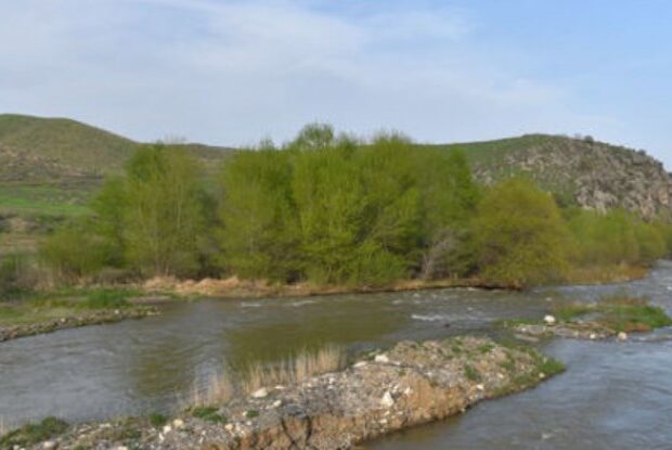 image-1625397321_svaudsadvsad