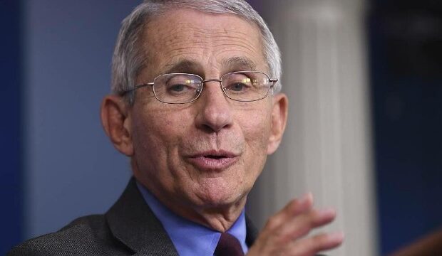 image-1625463376_entoni-fauci