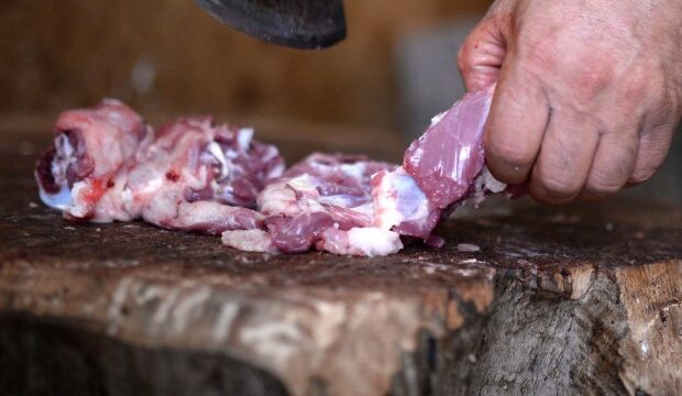 image-1626354760_422910663