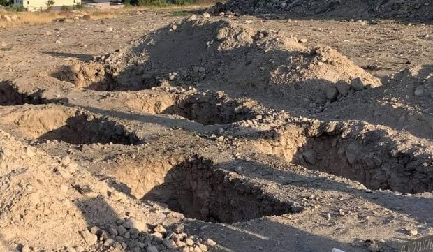 image-1627541473_90d55aea-c95f-4465-a279-3c00a5ea0cde