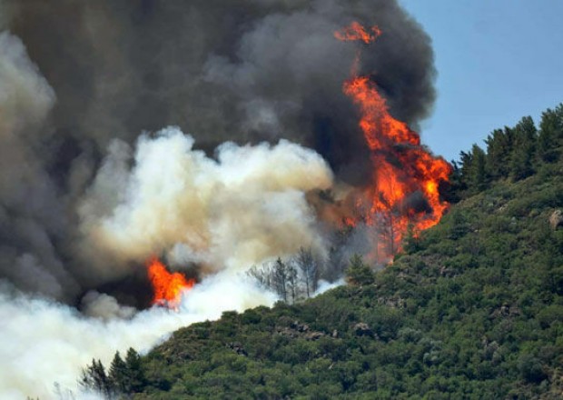 image-1627634070-1044827872_0_-1_1000_541_1000x541_80_0_0_b6191a070a5ba2bf8da9223444887c98