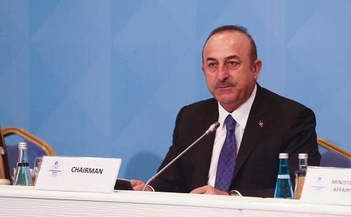 image-cavusoglu-eit