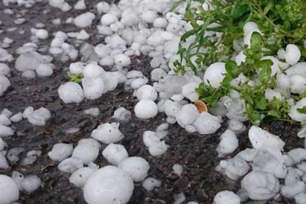 image-1590171653-1562509970_dolu