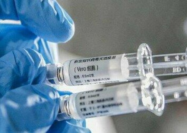 image-1626019355-korona-peyvend