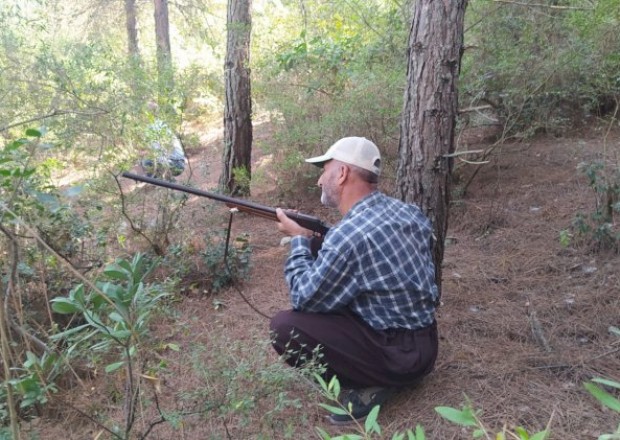 image-1627893343-image_750x_5f89631a8ba94