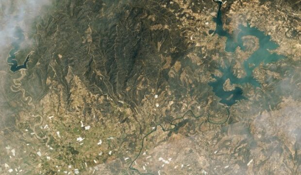 image-1627993376_16279-1627988590