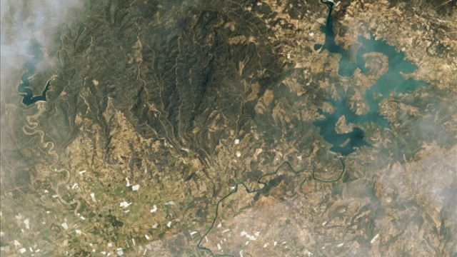 image-1627993376_16279-1627988590