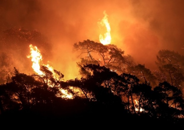 image-1628172143-1200x627-dunya-yaniyor-korkutan-orman-yangini-raporu-aciklandi-1627902757647