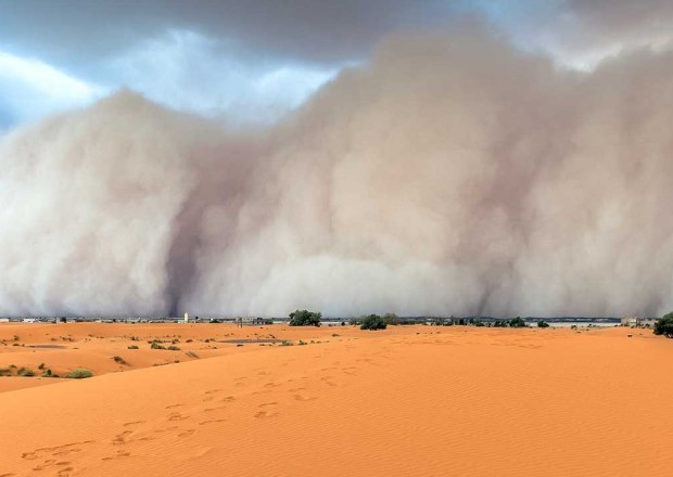 image-1629465114-cc_sandstorm_16x9
