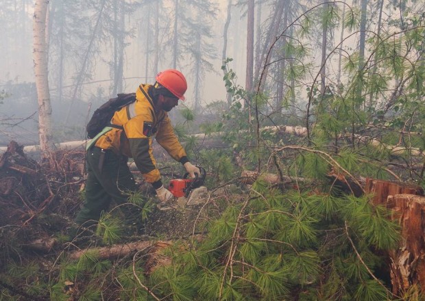 image-1630054506-1330395