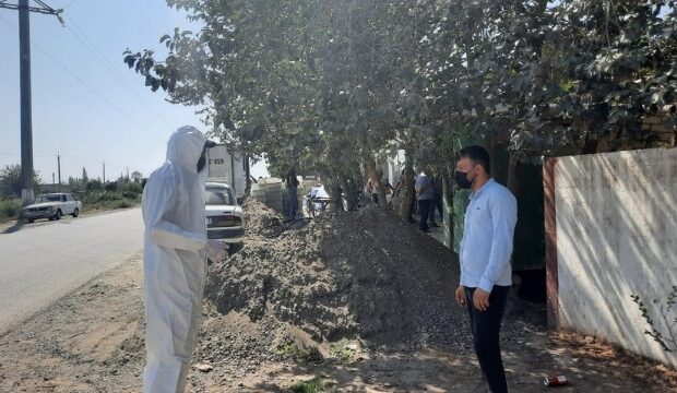 image-1631597597_12172e96-be28-3bc7-af24-aeb2cc50647d_850