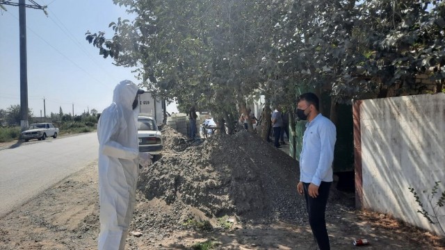 image-1631597597_12172e96-be28-3bc7-af24-aeb2cc50647d_850