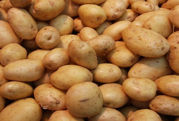 image-1632212464_kartoffmain