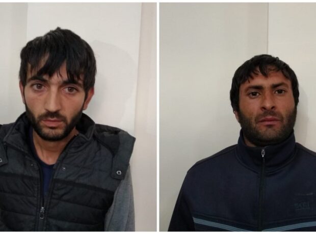 image-067f6dab-829e-305f-a66a-9474ccaf3ad8_850