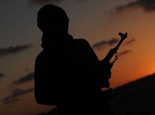 image-0f759393-1c38-3da9-ae75-c9b59aa871c7_850