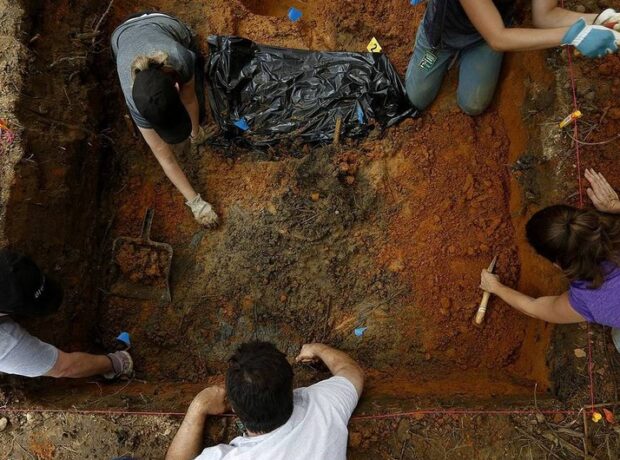 image-05517972-8799-3d09-ab76-8784ab78159c_850