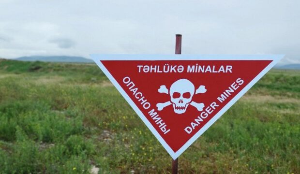 image-1637656708_anama_201121