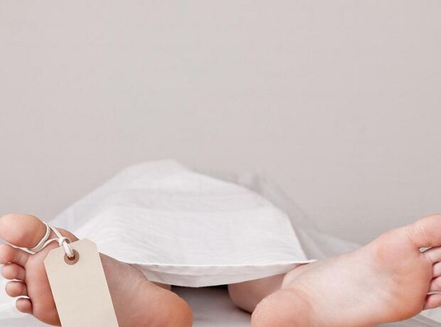 image-1d38ffa4-0873-4955-8456-5d9b36a8ff09_850