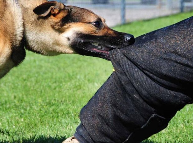 image-b8dba239-b3c0-3030-b08f-ca8bb251364f_850