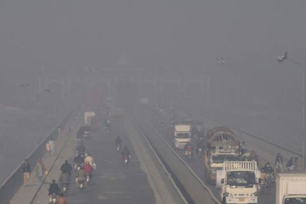 image-fotojet-2021-11-23t120300-589