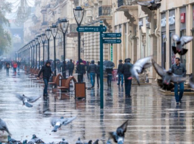 image-img_20211102_122137