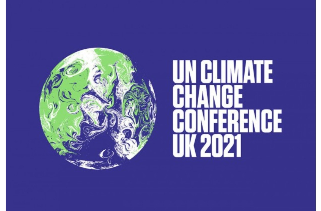 image-img_20211114_090548