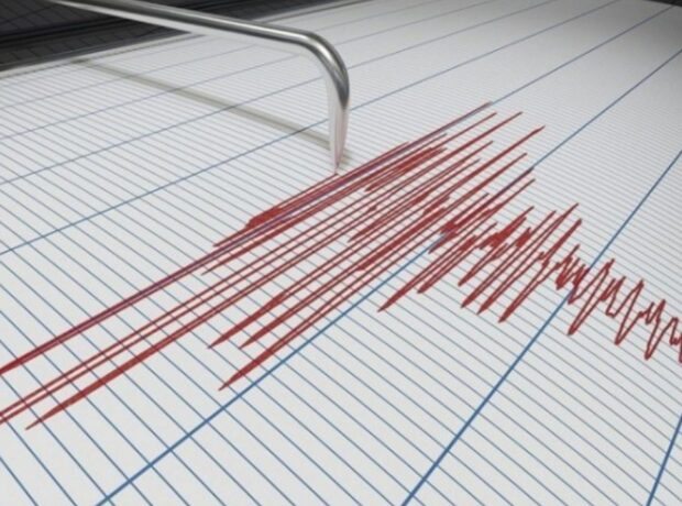 image-img_20211114_124423