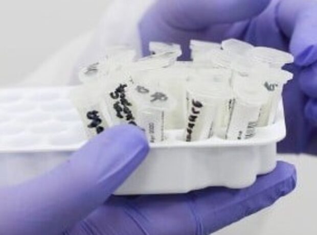 image-img_20211125_113802