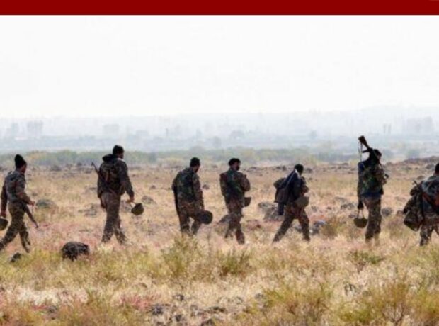 image-img_20211125_114236