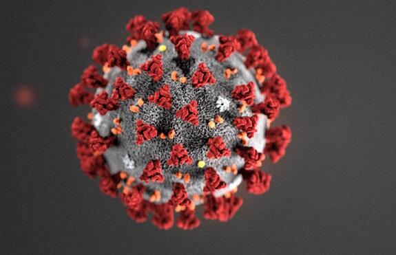 image-koronavirus