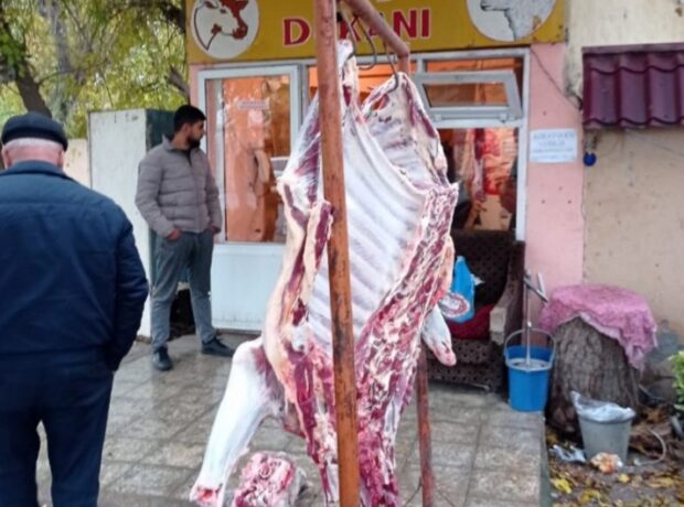 image-0d6eb033-1b38-30f0-8a06-4093be22b8ff_850