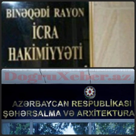 image-1638959208_3ac6febd-631c-48f0-8c84-35bd94cf1ef8