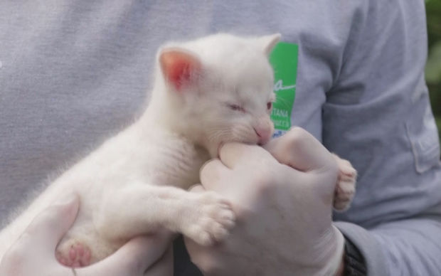 image-269845873_469559734559846_3337785863967909840_n