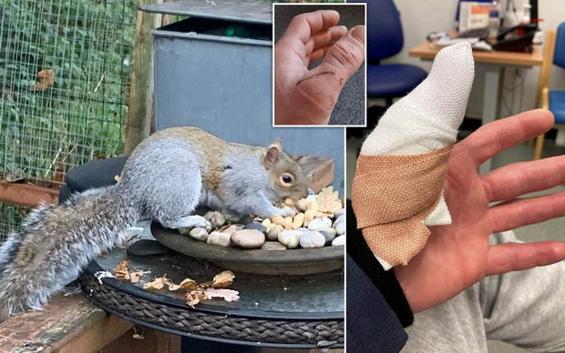 image-269851392_734511140855946_1366576168090252701_n