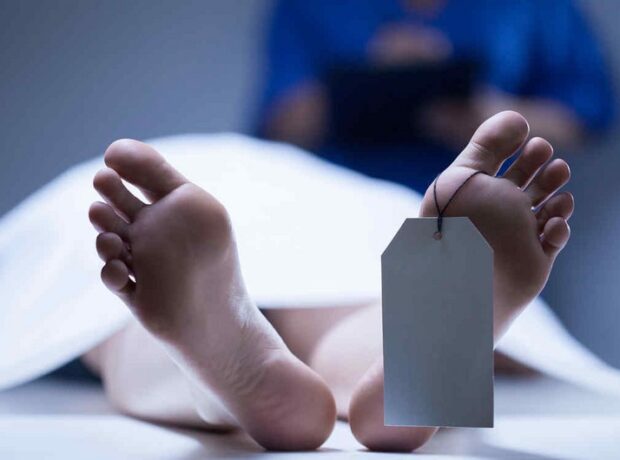 image-629ec580-5934-303c-94b5-d920a088cf14_850