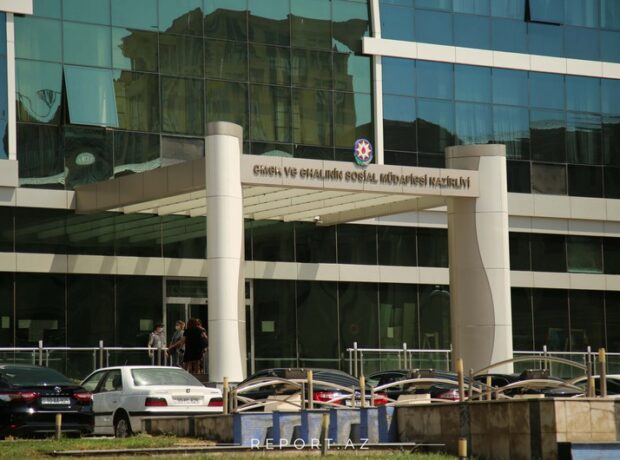 image-d7c7ee47-aac8-3904-9598-c77bf38cb443_850