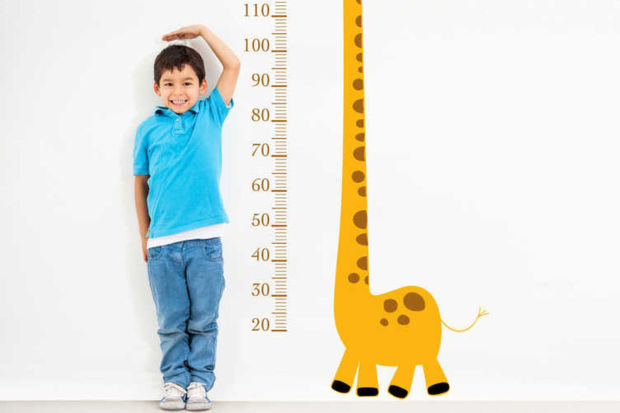 image-fotojet-2021-12-16t122546-041