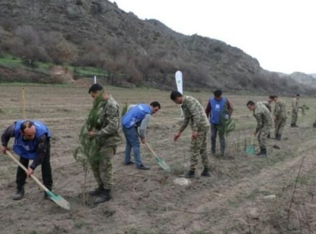 image-img_20211202_105127