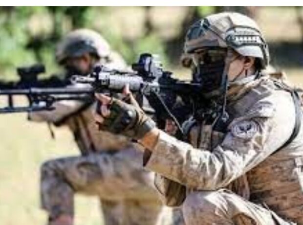 image-img_20211202_115127