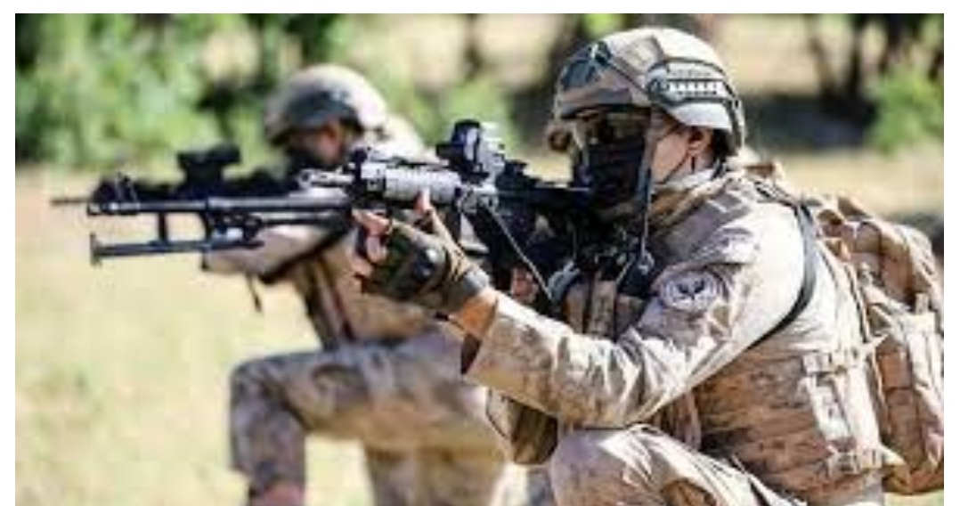 image-img_20211202_115127