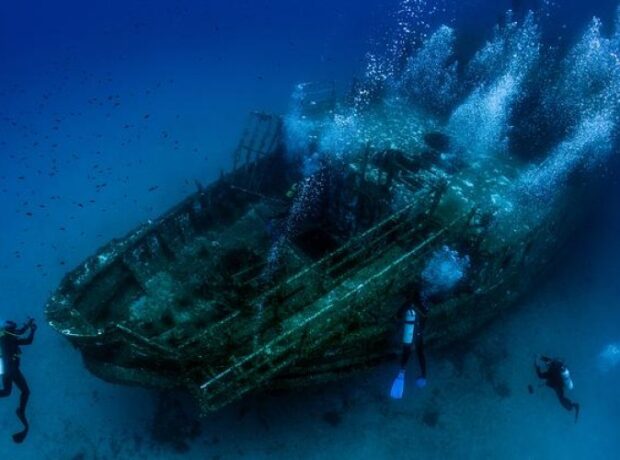 image-1641763353-fd1aaa2e93b3fe92af30