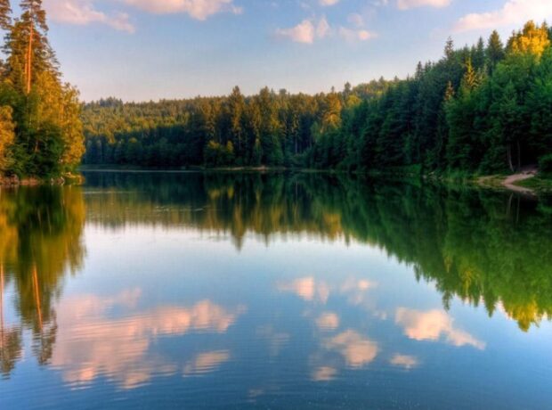 image-1643447483-tebiet_2834867